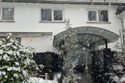 Feestdagenarrangementen Paping