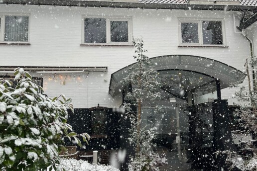 Feestdagenarrangementen Paping