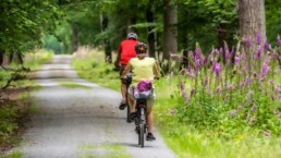 Fietsvakantie in Overijssel