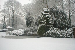 Kerstarrangementen Feestdagenarrangementen Hotel De Oringer Marke