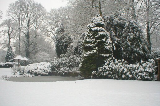 Kerstarrangementen Feestdagenarrangementen Hotel De Oringer Marke