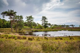 Fietsvakantie Gelderland