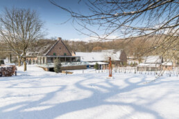 Kerstarrangementen Feestdagen