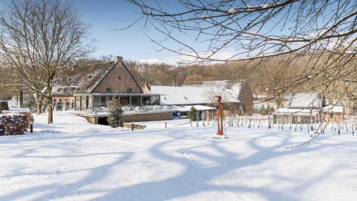 Kerstarrangementen Feestdagen