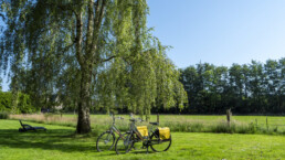 Arrangementen De Landmarke