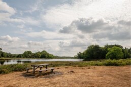 Fietsvakantie Drenthe, landschap met vennen