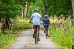 Fietsvakantie drenthe