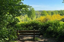 Wandelvakantie Overijssel